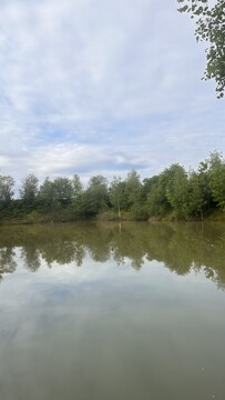 IMG_8819 (1) (1)